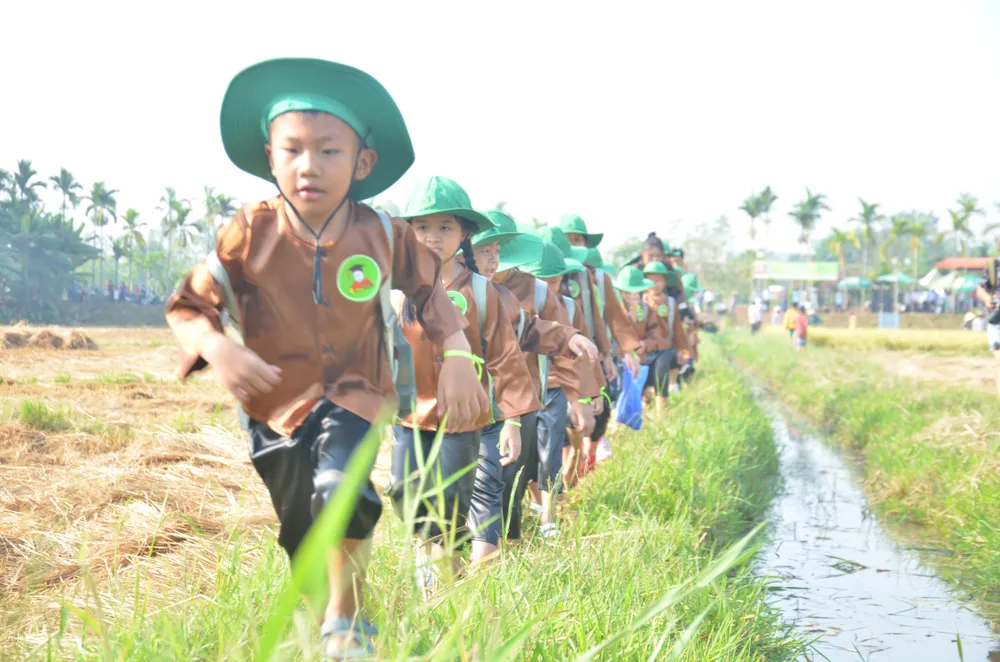 Hàng trăm “nông dân nhí” ướt đẫm mồ hôi... gặt lúa ảnh 3