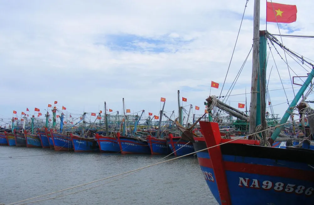 Tàu 67 vươn khơi rồi… mắc cạn ảnh 1