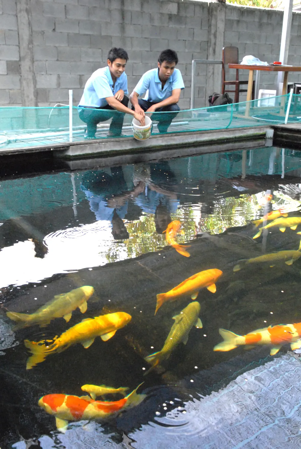 Nâng cao hiệu quả sử dụng đất ảnh 1