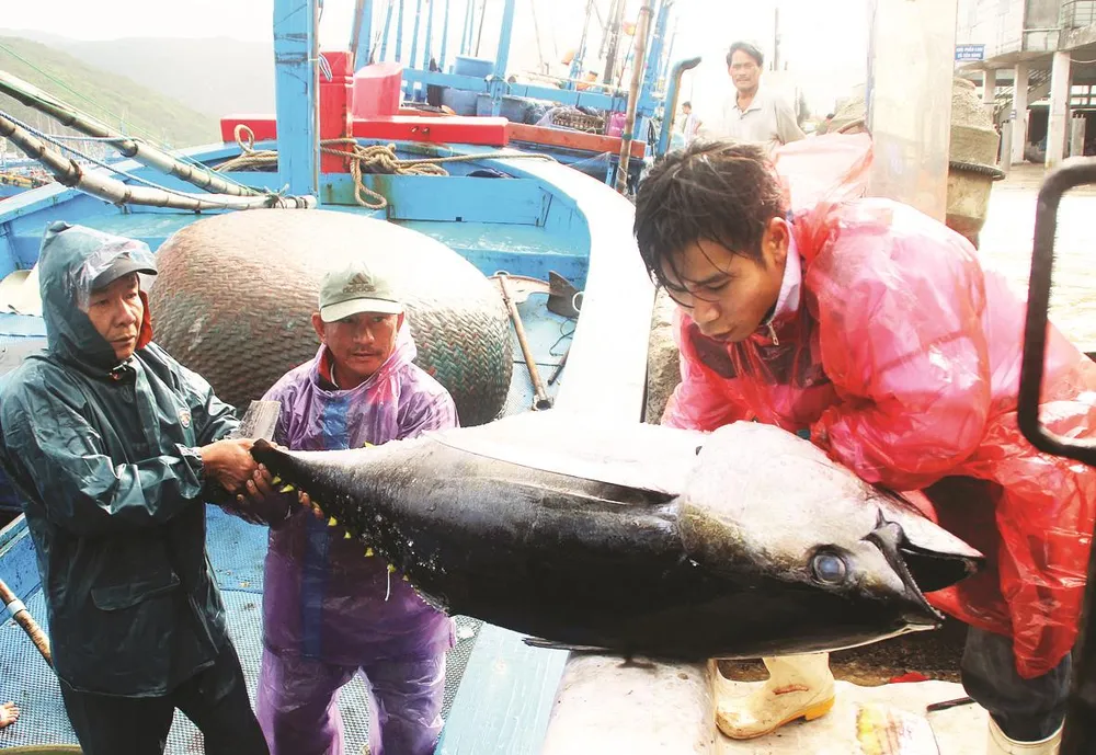 Làng chài bên biển hoang ảnh 5