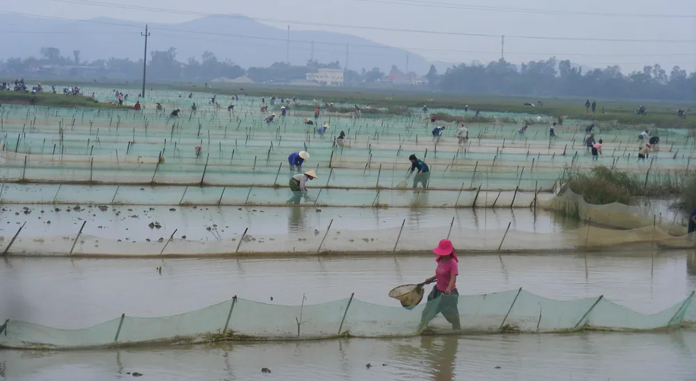 Mảnh đất “kỳ nhân” ảnh 2