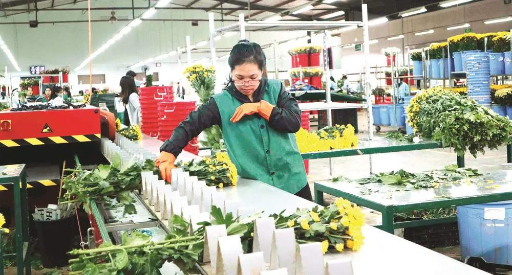 Nông nghiệp thông minh ảnh 2