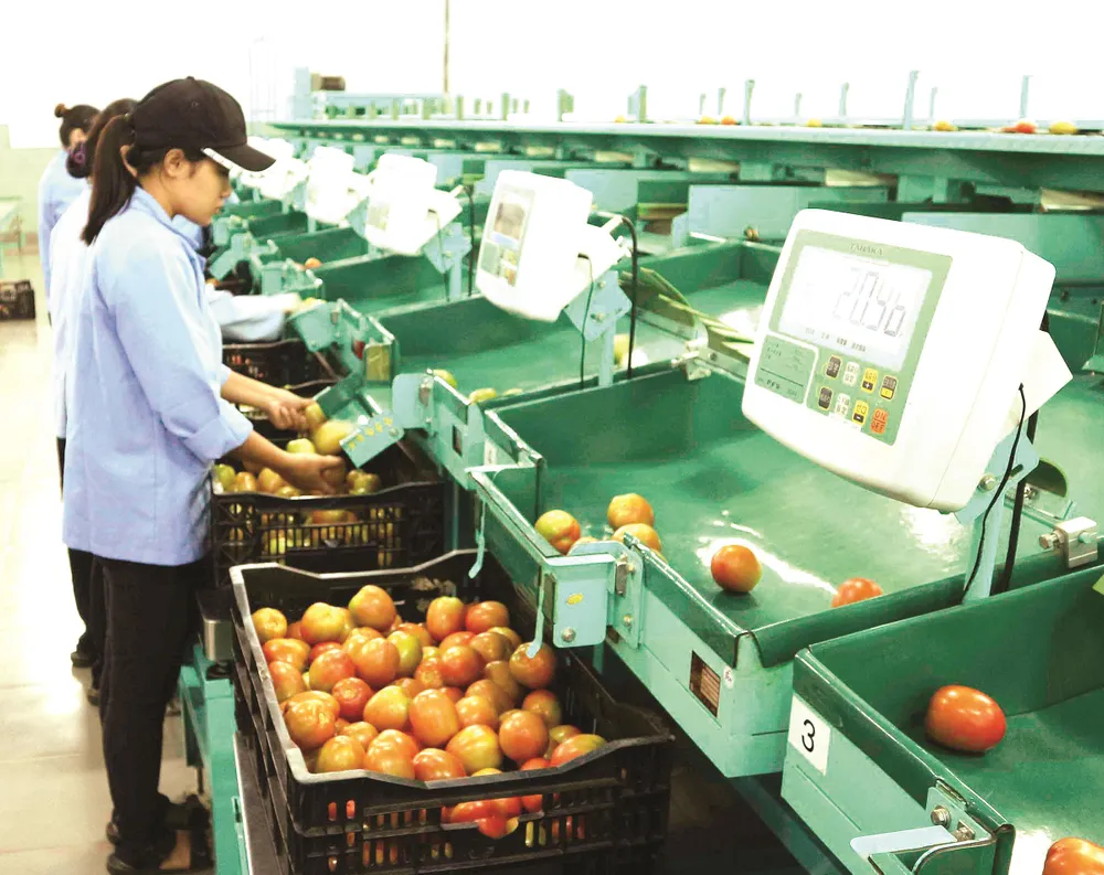 Nông nghiệp thông minh ảnh 5