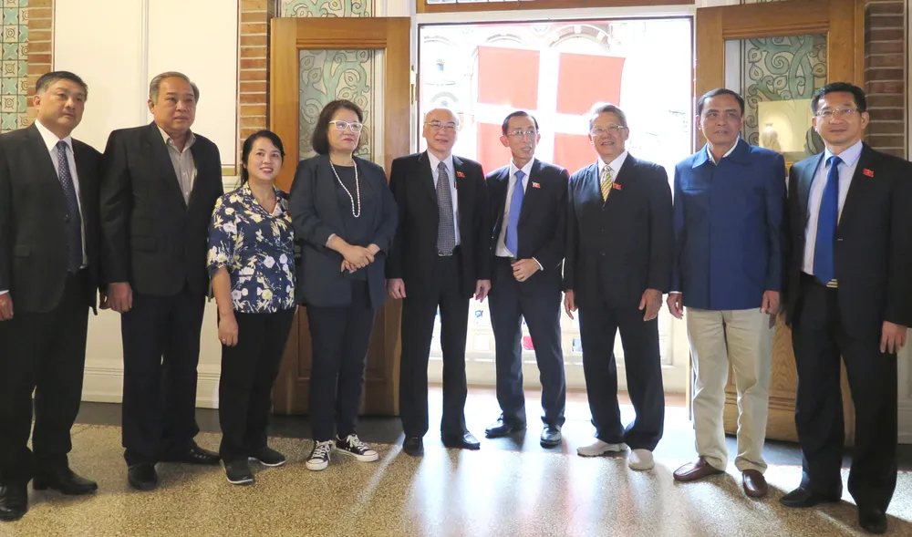 Đoàn ĐBQH TPHCM trao đổi kinh nghiệm chăm sóc các đối tượng xã hội tại Đan Mạch ảnh 1