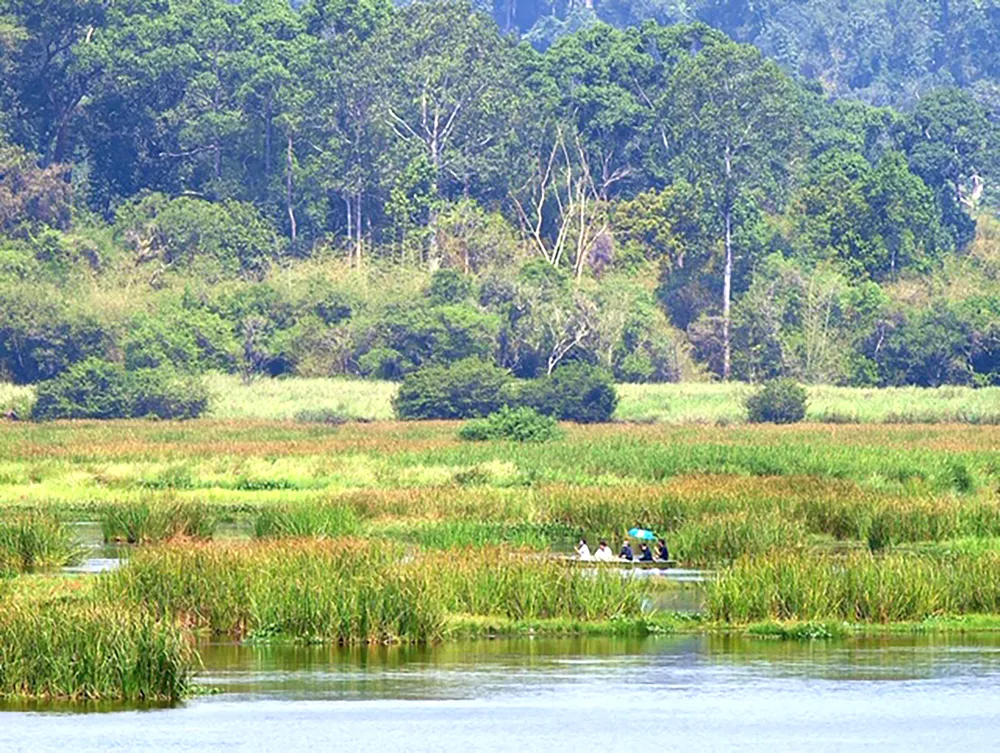 Xử lý nghiêm vi phạm về bảo vệ môi trường ảnh 1