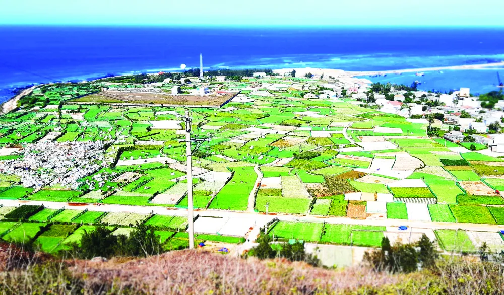 Đặc sản miền biên viễn ảnh 1