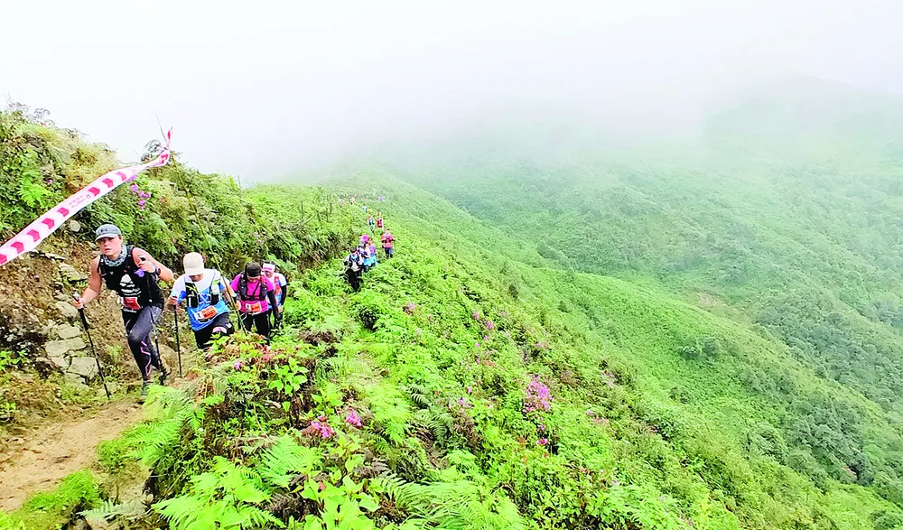 Ký sự Marathoner: Vượt đỉnh Hoàng Liên Sơn hùng vĩ ảnh 1