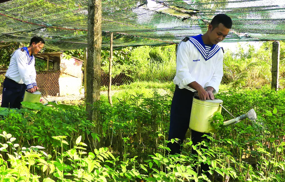 Sức sống đảo tiền tiêu ảnh 2