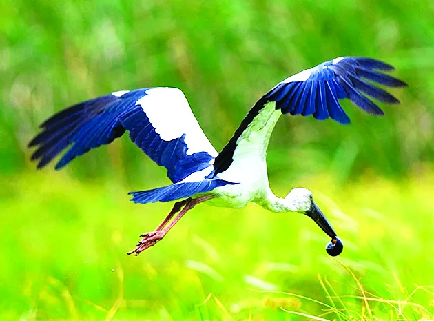 “Lung trời” giữa đồng bằng ảnh 3