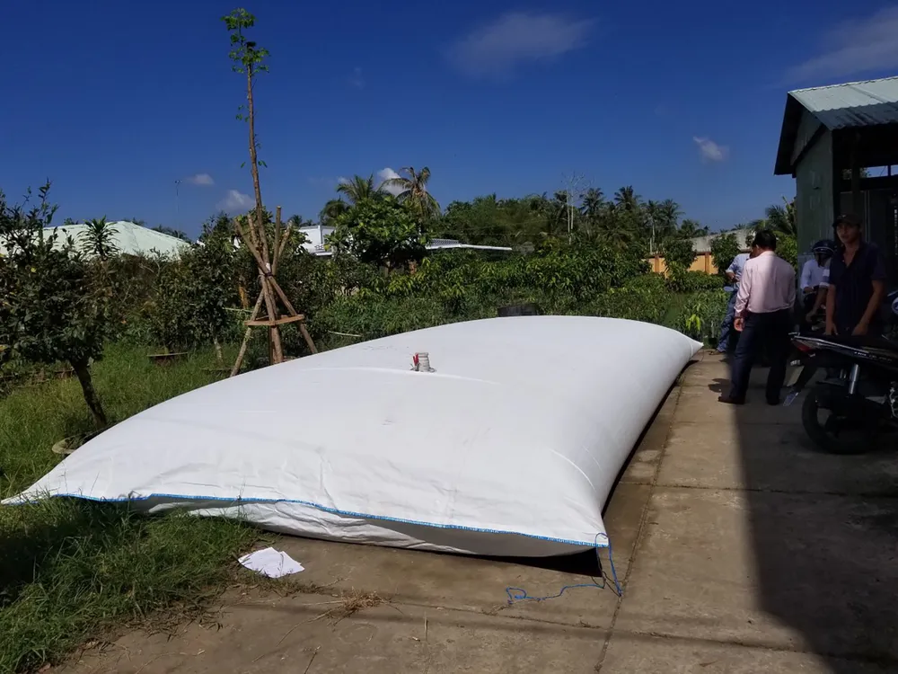 Hạn mặn hoành hành ĐBSCL ảnh 1