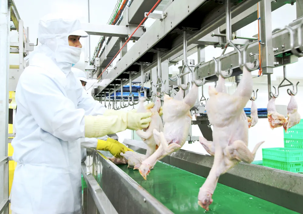 Hướng đến mô hình liên kết, xuất khẩu chính ngạch ảnh 1