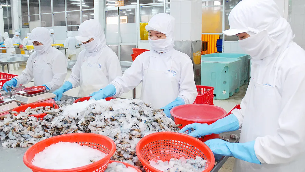 Qua một năm thực hiện CPTPP: Tăng trưởng xuất khẩu chưa như kỳ vọng ảnh 1