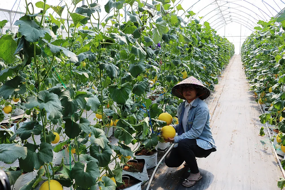 Điểm đến hấp dẫn nhà đầu tư ảnh 1