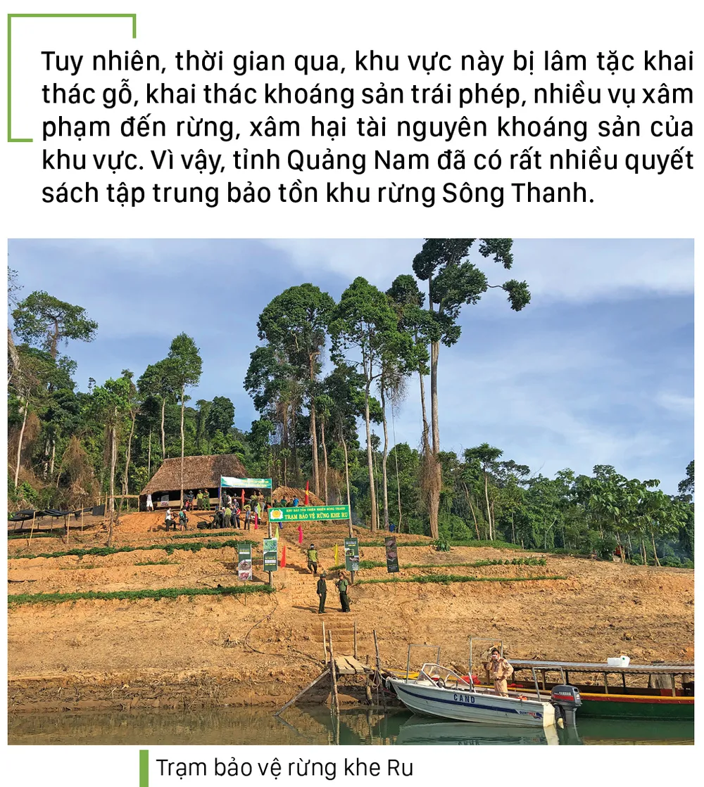 Nỗ lực giữ rừng Sông Thanh ảnh 6