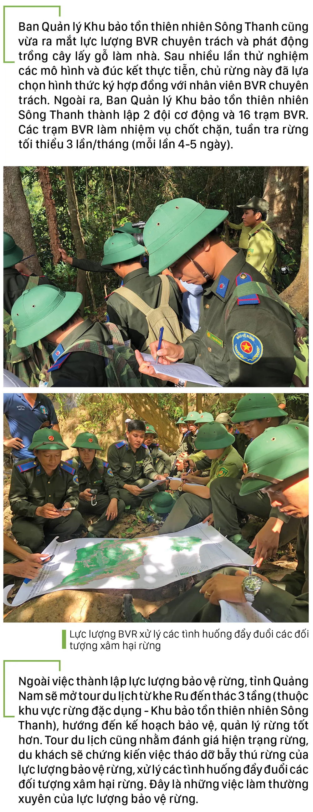 Nỗ lực giữ rừng Sông Thanh ảnh 7