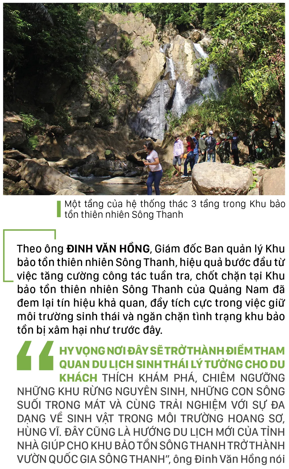 Nỗ lực giữ rừng Sông Thanh ảnh 10