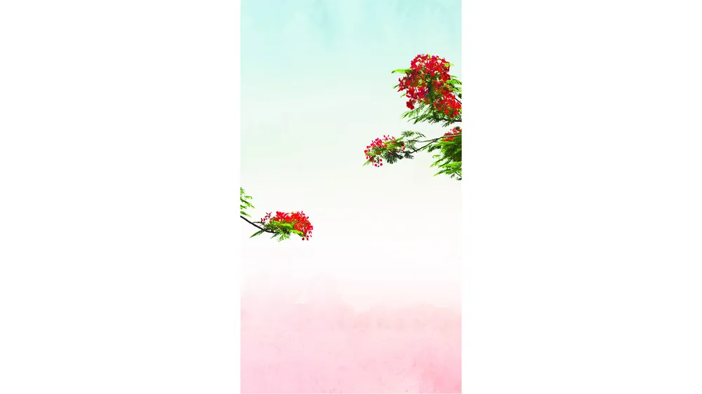 Khi nhà báo làm thơ ảnh 1