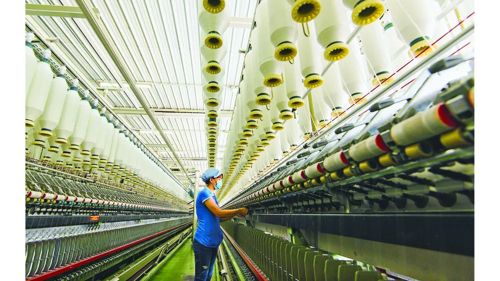 Giao dịch thương mại Việt Nam - EU: Bắt nhịp sôi động ảnh 2