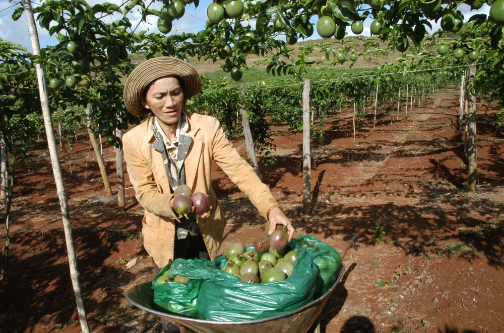 Giao dịch thương mại Việt Nam - EU: Bắt nhịp sôi động ảnh 1