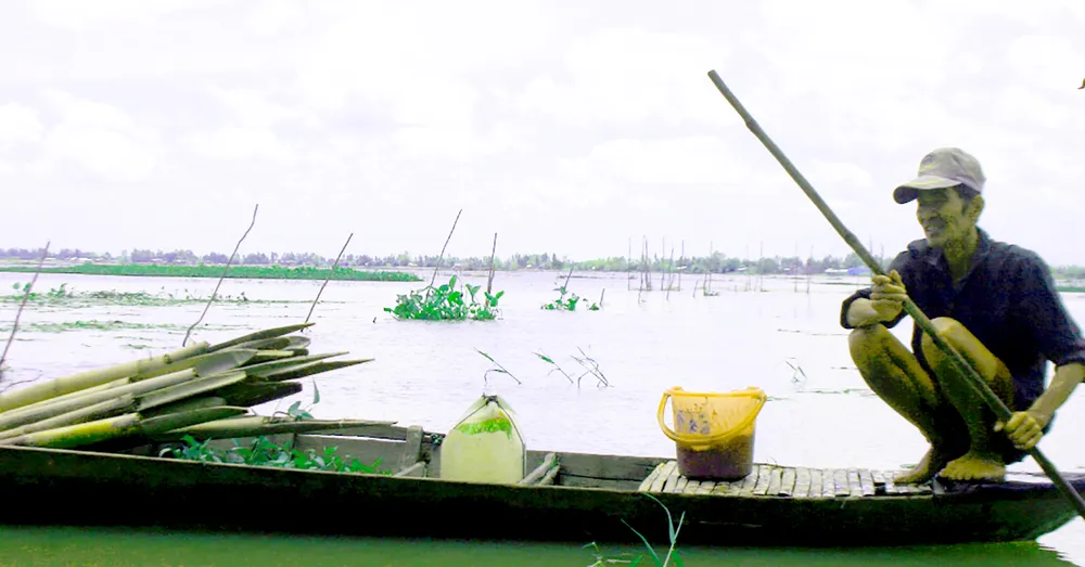 Miền Tây ngóng mùa nước nổi ảnh 1