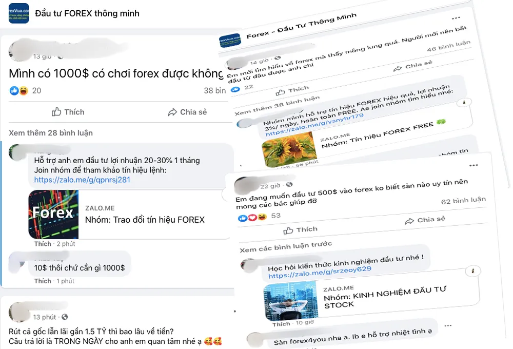 Đầu tư ảo - rủi ro thật ảnh 1