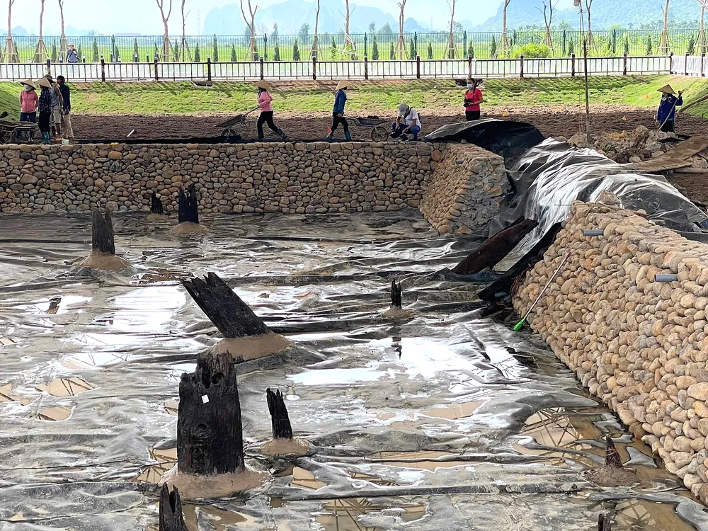 Bãi cọc cổ ở Hải Phòng - Nhiều bí ẩn cần được khám phá ảnh 1