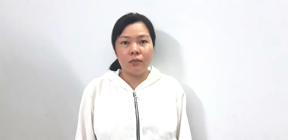 Phát huy thế mạnh, phát triển đột phá thành phố ảnh 4