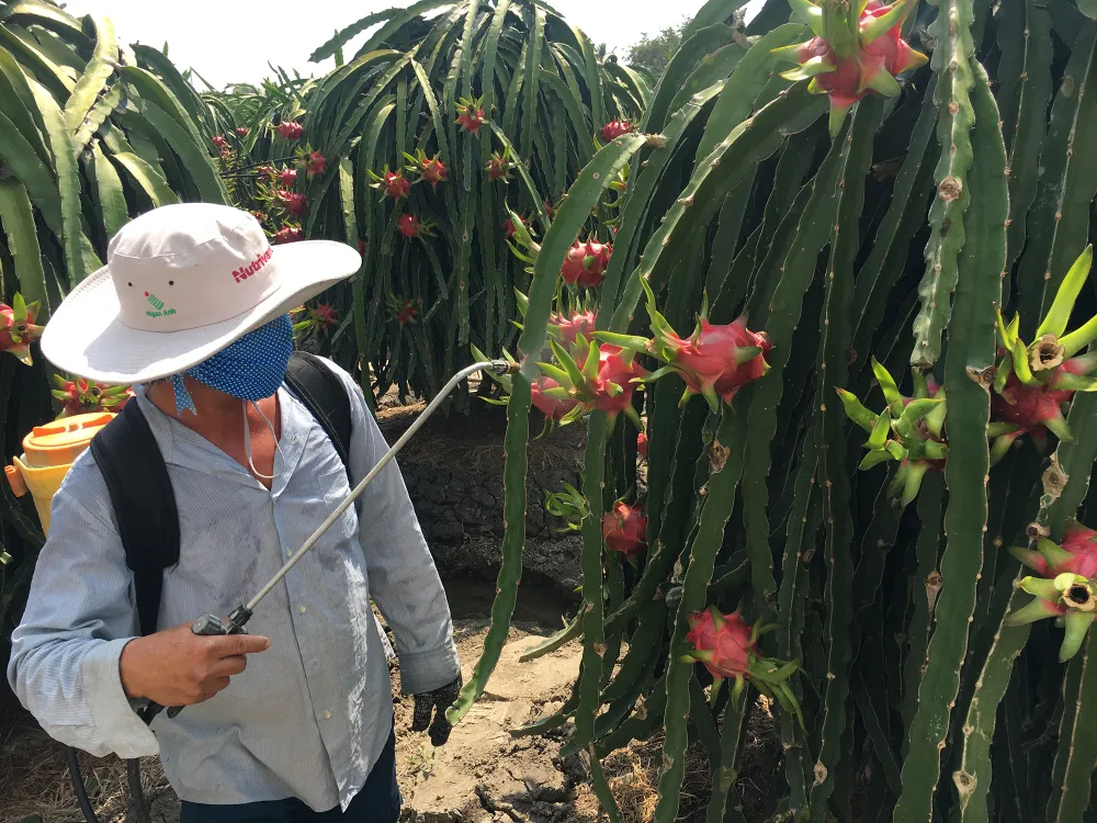 Bao giờ nhà nông hết “đói” thông tin? ảnh 1