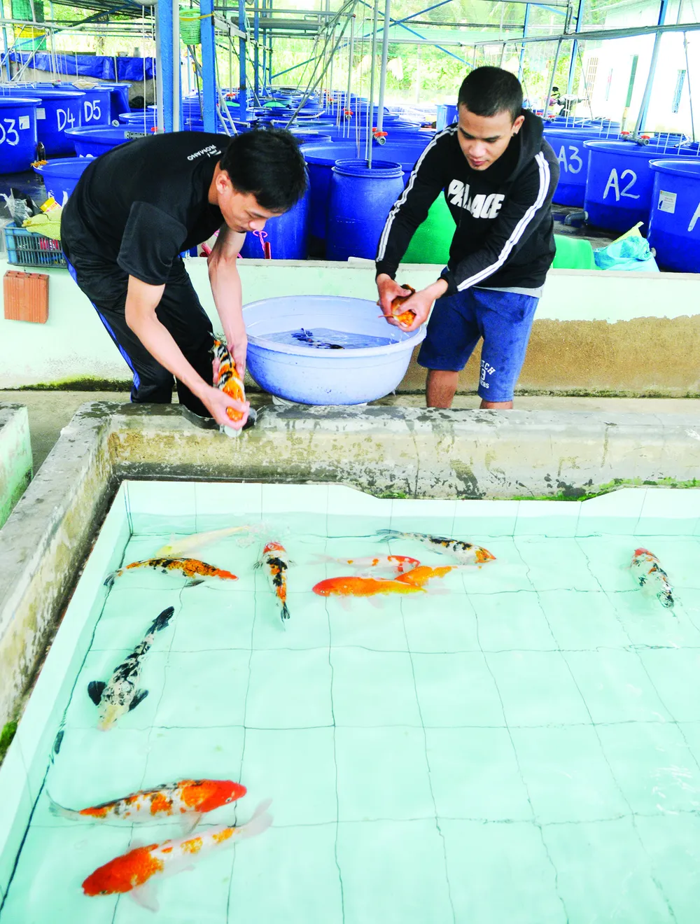 Tiếp cận vốn từ các quỹ đầu tư nước ngoài: Doanh nghiệp gặp khó ảnh 1