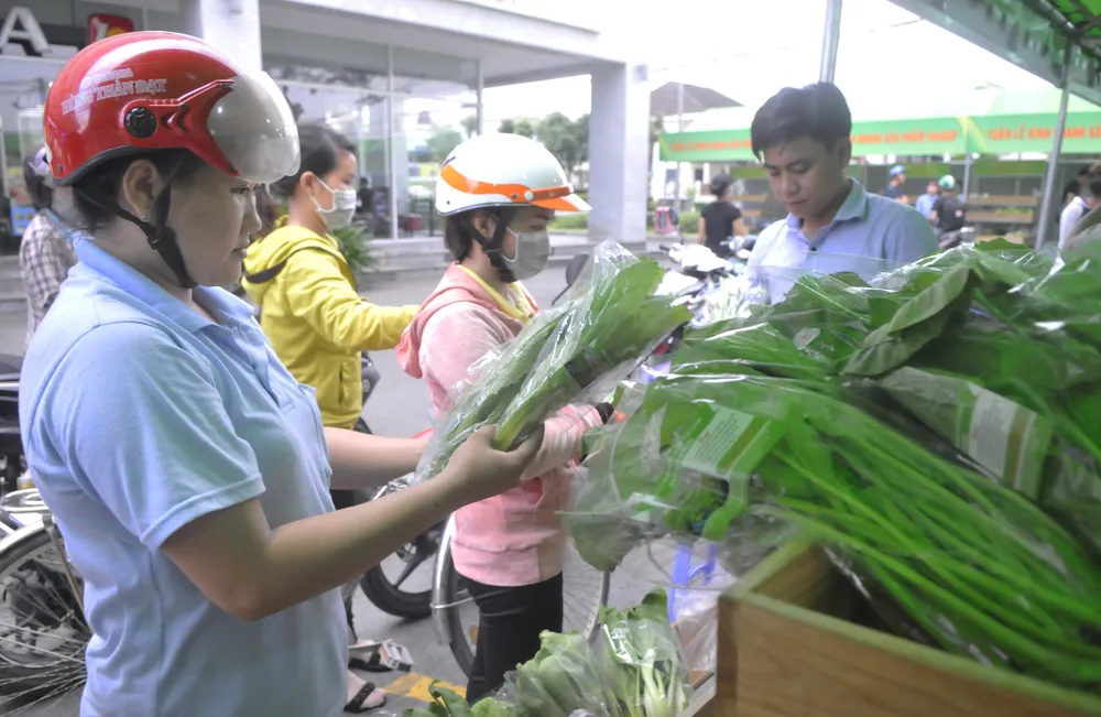 TPHCM phát triển mạng lưới phân phối hàng hóa tết ảnh 1