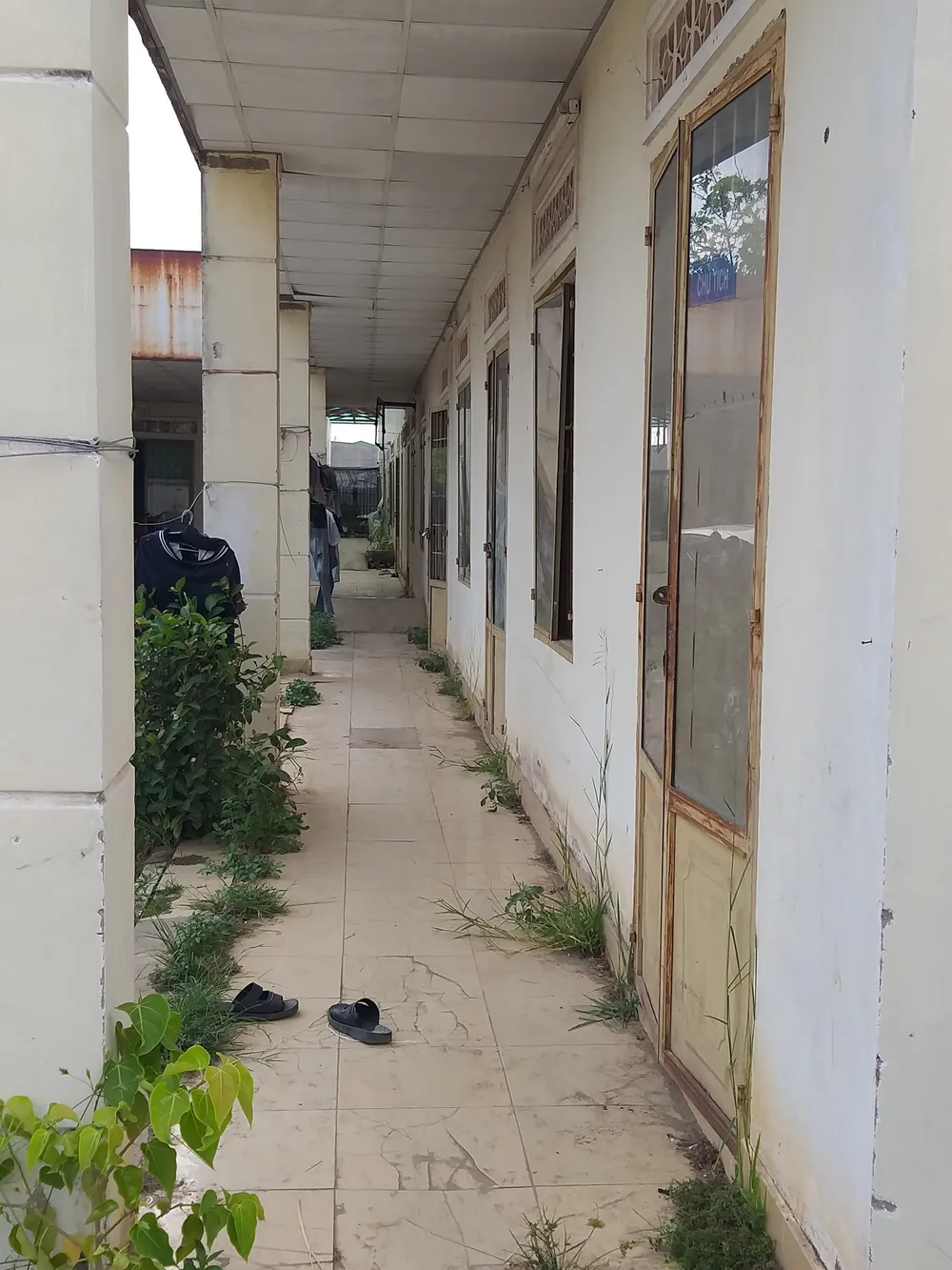 Lỏng lẻo quản lý đất công ở Đông Nam bộ - Bài 4: Hoàn thiện pháp luật để quản lý đất công ảnh 1