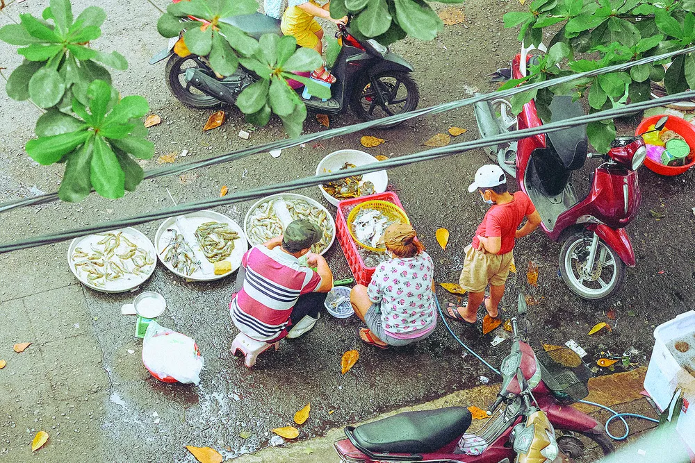 Chút tình năm cũ ảnh 1