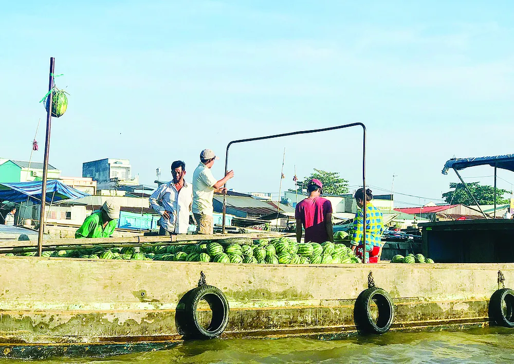 Đời ghe, đời người… ảnh 1