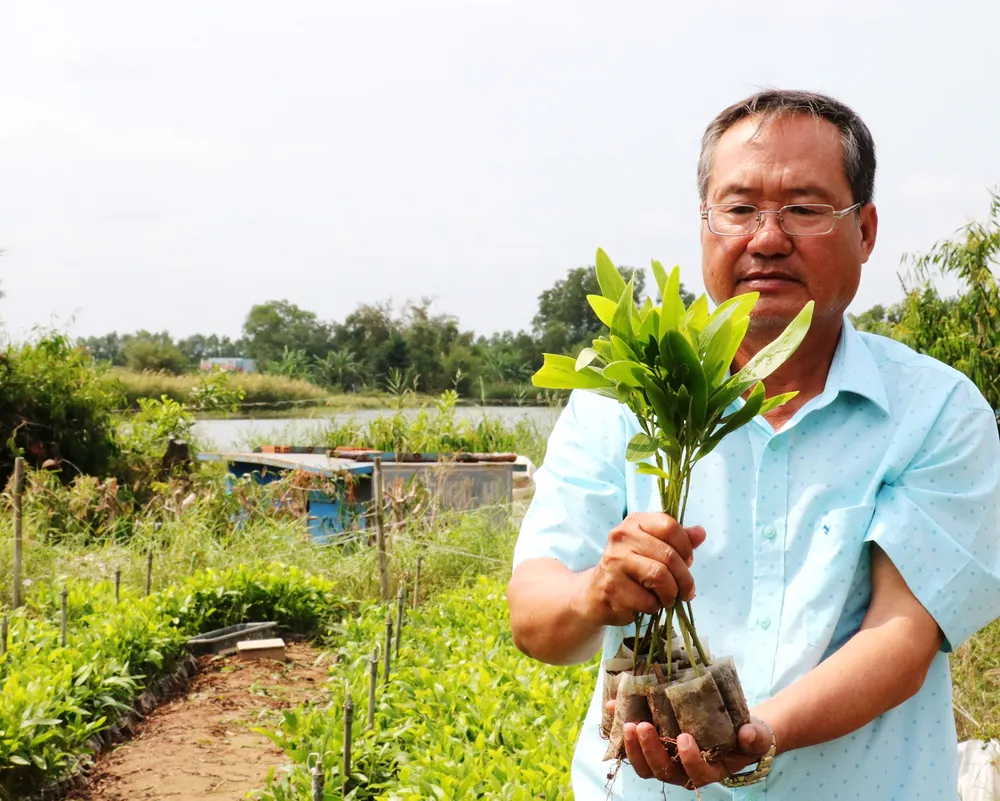 Khởi sắc U Minh ảnh 1