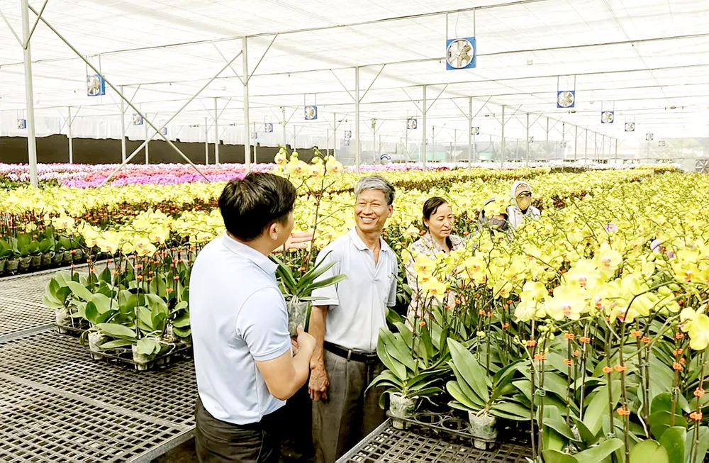 Người trồng hoa cần tiếp sức ảnh 1