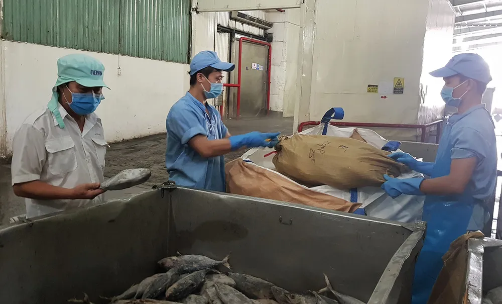 Cùng doanh nghiệp vượt khó ảnh 1