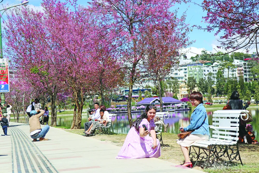 Cả nước náo nức vào xuân ảnh 3