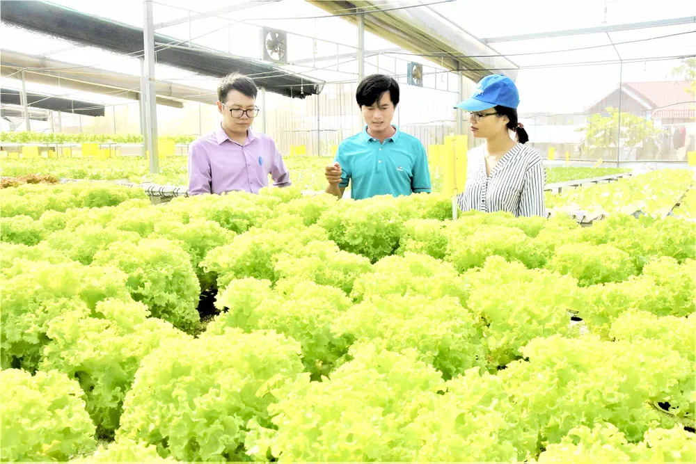 Dấu ấn đào tạo nghề lao động nông thôn ảnh 1