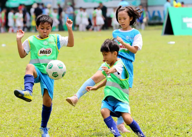 Chủ tịch Liên đoàn Bóng đá TPHCM (HFF) Trần Anh Tú: Sẽ chăm lo đặc biệt cho bóng đá học đường ảnh 1