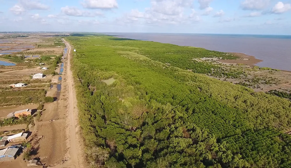 Sóc Trăng vươn lên từ điện gió ảnh 1