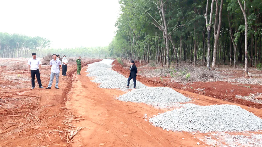 Sốt đất theo dự án “ảo” ảnh 1