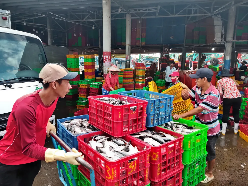 Gỡ khó cho đánh bắt thủy sản ảnh 1