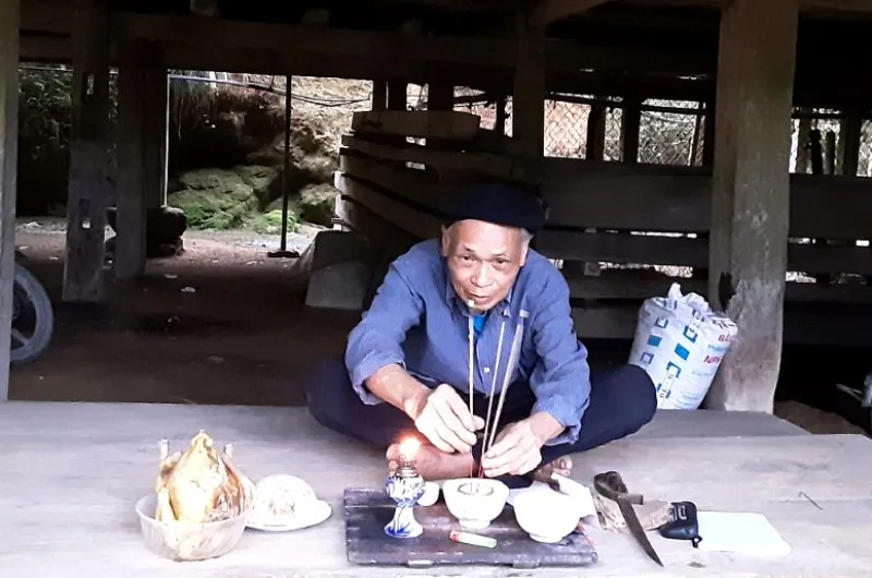 Bảo tồn cây chè cổ thụ tại vùng trà Cao Bồ, tỉnh Hà Giang ảnh 3