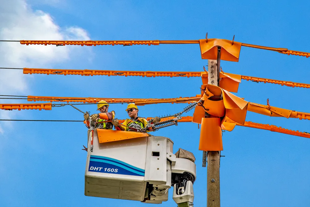  Tổng công ty Điện lực miền Nam (EVNSPC): Tích cực chuyển đổi số để phục vụ khách hàng sử dụng điện ảnh 1