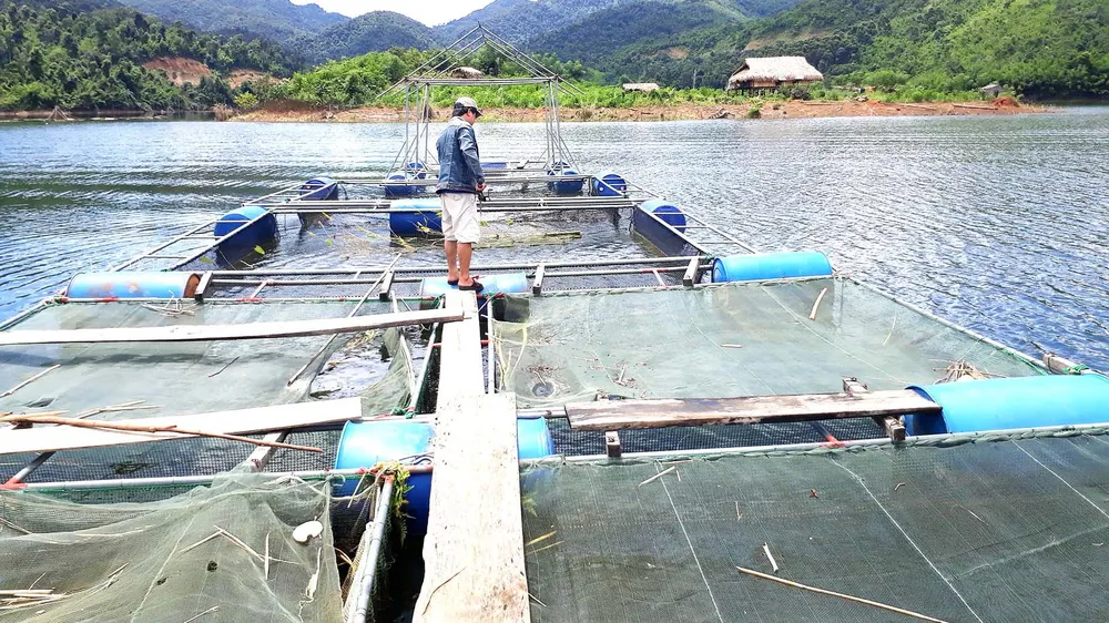 Nghệ An: Người dân tạo sinh kế trong lòng hồ thủy điện