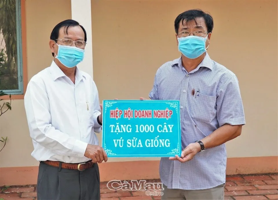 Chủ tịch Hiệp hội Doanh nghiệp tỉnh, ông Lê Hoàng Phước (trái) đại diện trao bảng tượng trưng 1.000 cây vú sữa giống tặng UBND xã Trí Lực. Ảnh: Báo Cà Mau