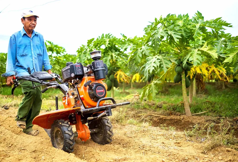 Nâng tầm rau xanh ảnh 2