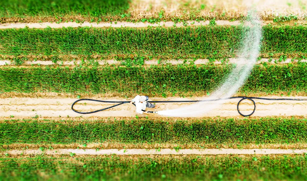 Nâng tầm rau xanh ảnh 5