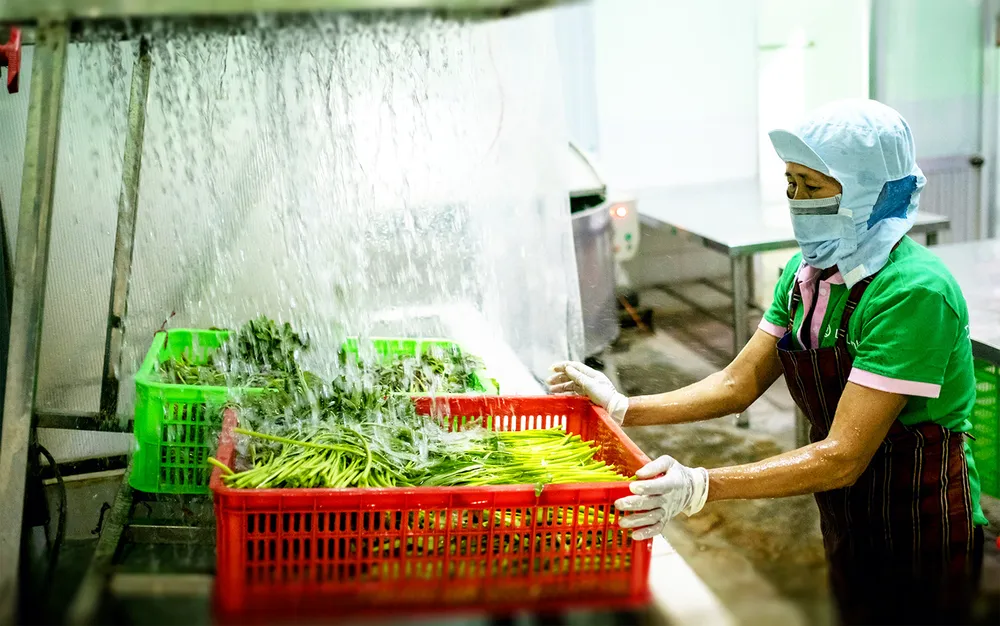 Nâng tầm rau xanh ảnh 7