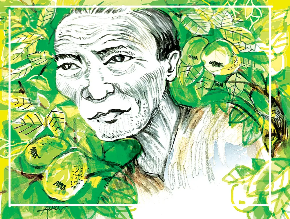 Bóng cha       ảnh 1